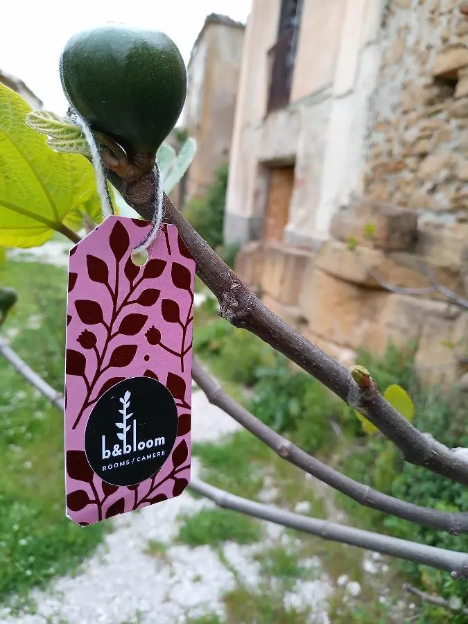 Bandbloom Palermo Italy